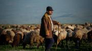 Img default alt hy