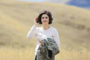 Img default alt hy